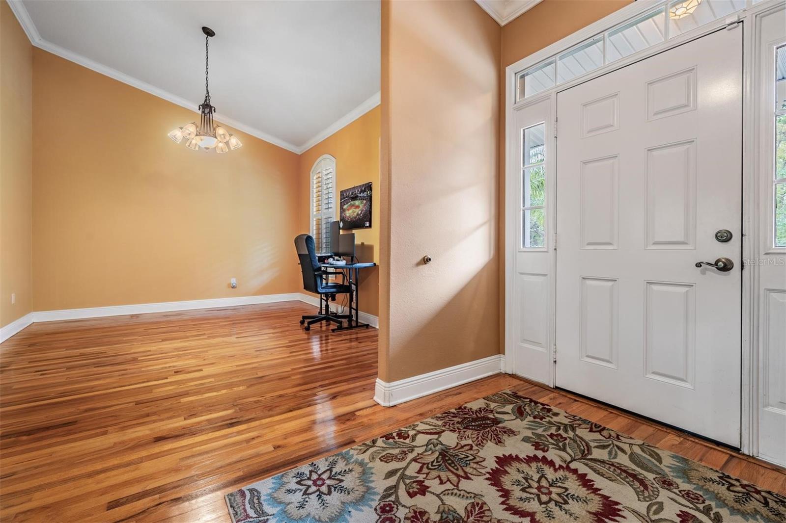 8425 JACKSON SPRINGS RD, TAMPA, FL, 33615