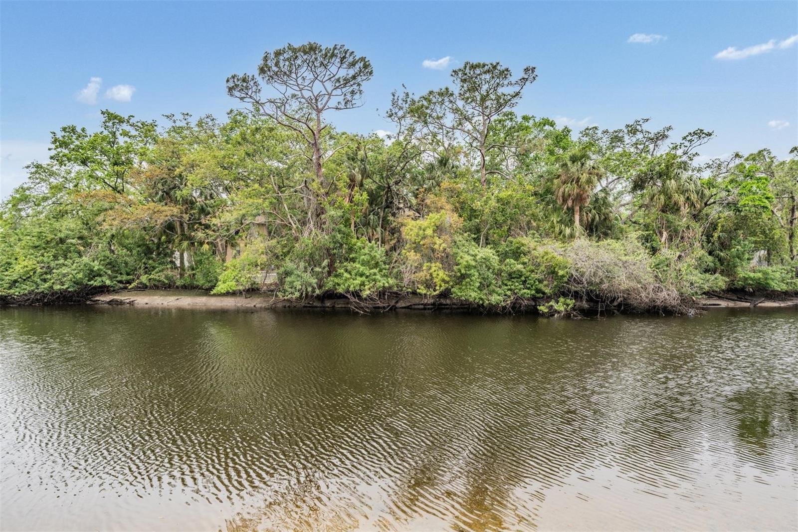 8425 JACKSON SPRINGS RD, TAMPA, FL, 33615