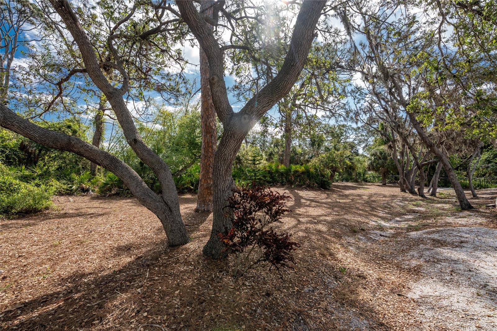 5889 VENISOTA RD, VENICE, FL, 34293