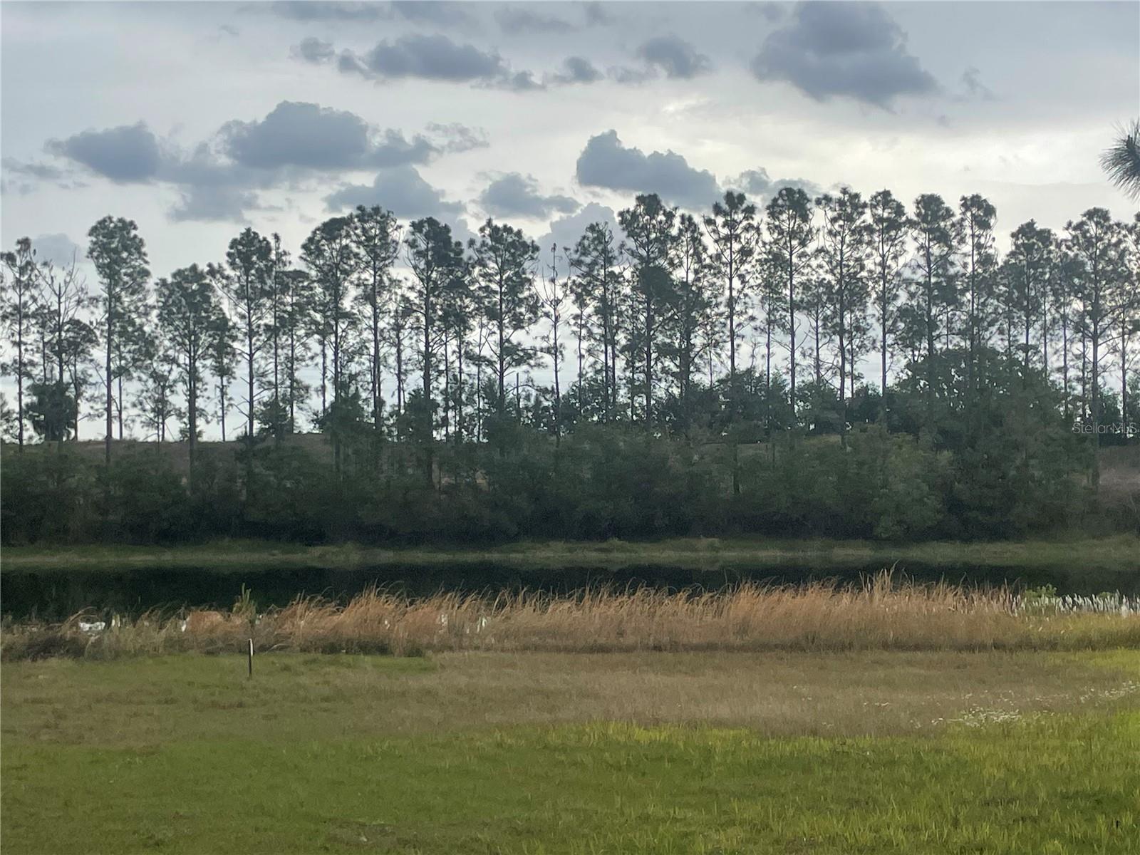 LAKE DENISE BLVD, CLERMONT, FL, 34711