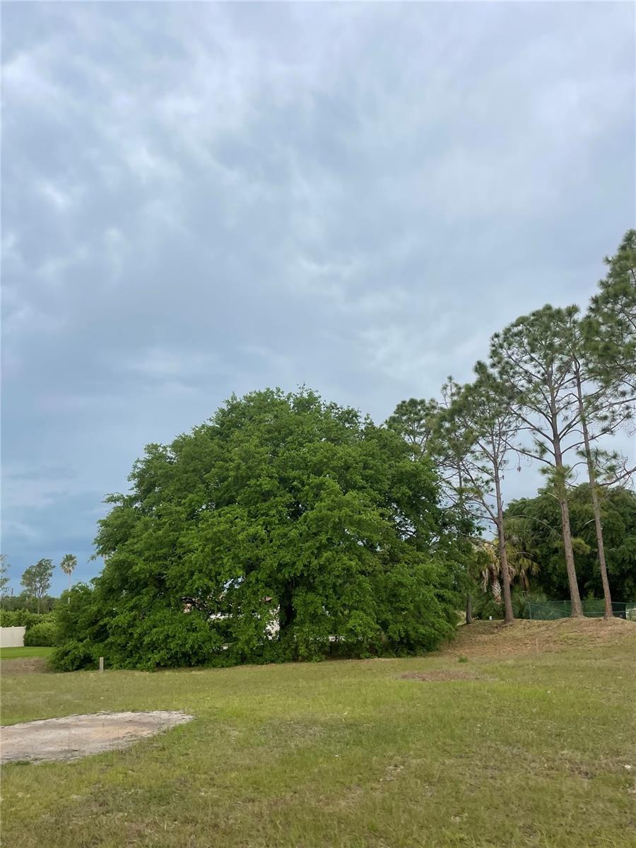 LAKE DENISE BLVD, CLERMONT, FL, 34711