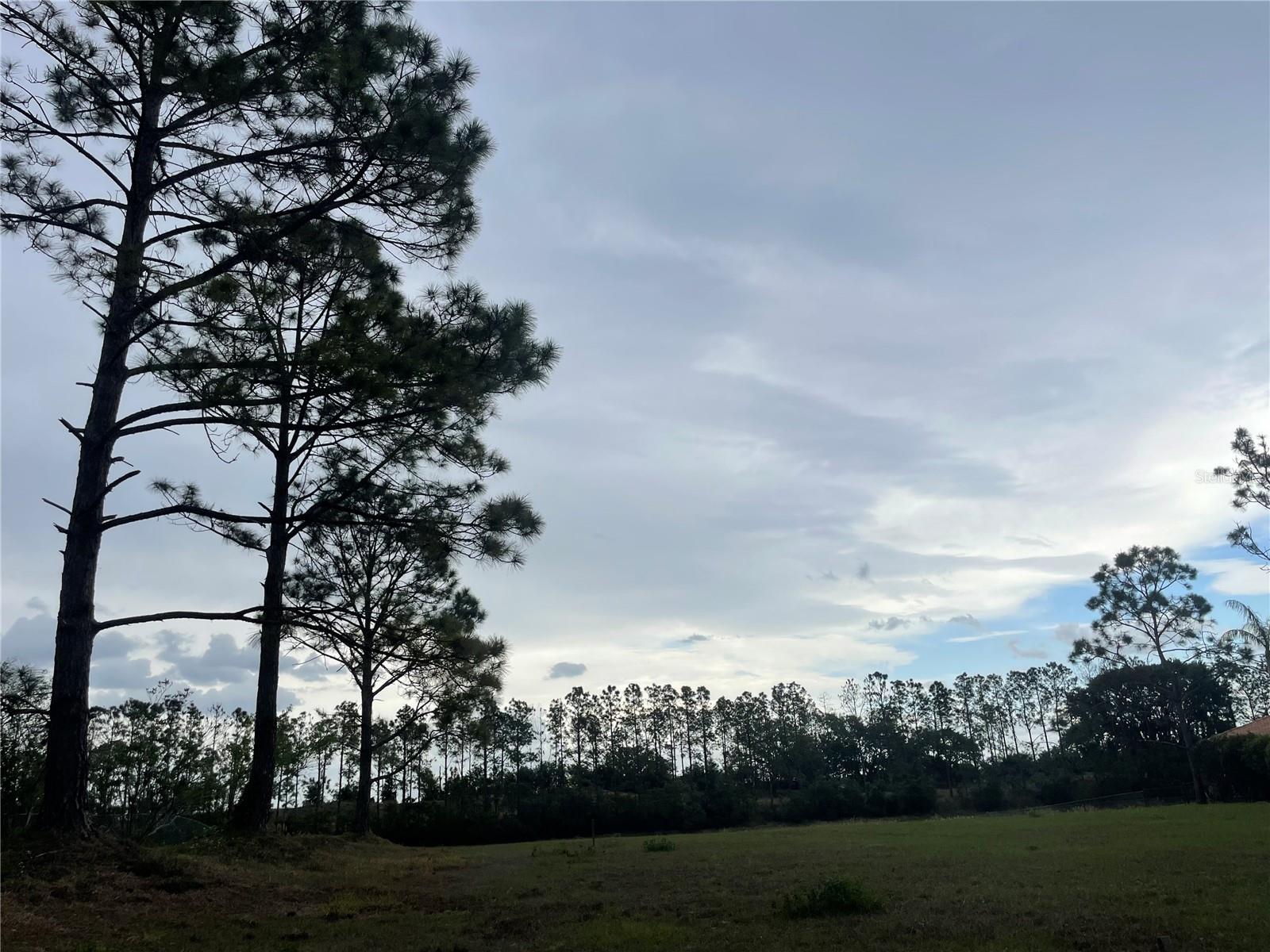 LAKE DENISE BLVD, CLERMONT, FL, 34711
