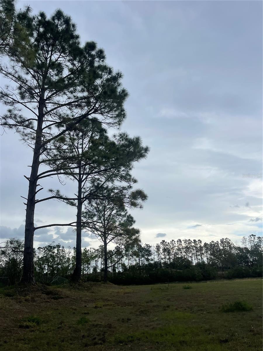 LAKE DENISE BLVD, CLERMONT, FL, 34711