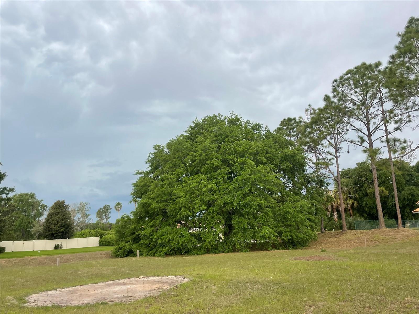 LAKE DENISE BLVD, CLERMONT, FL, 34711