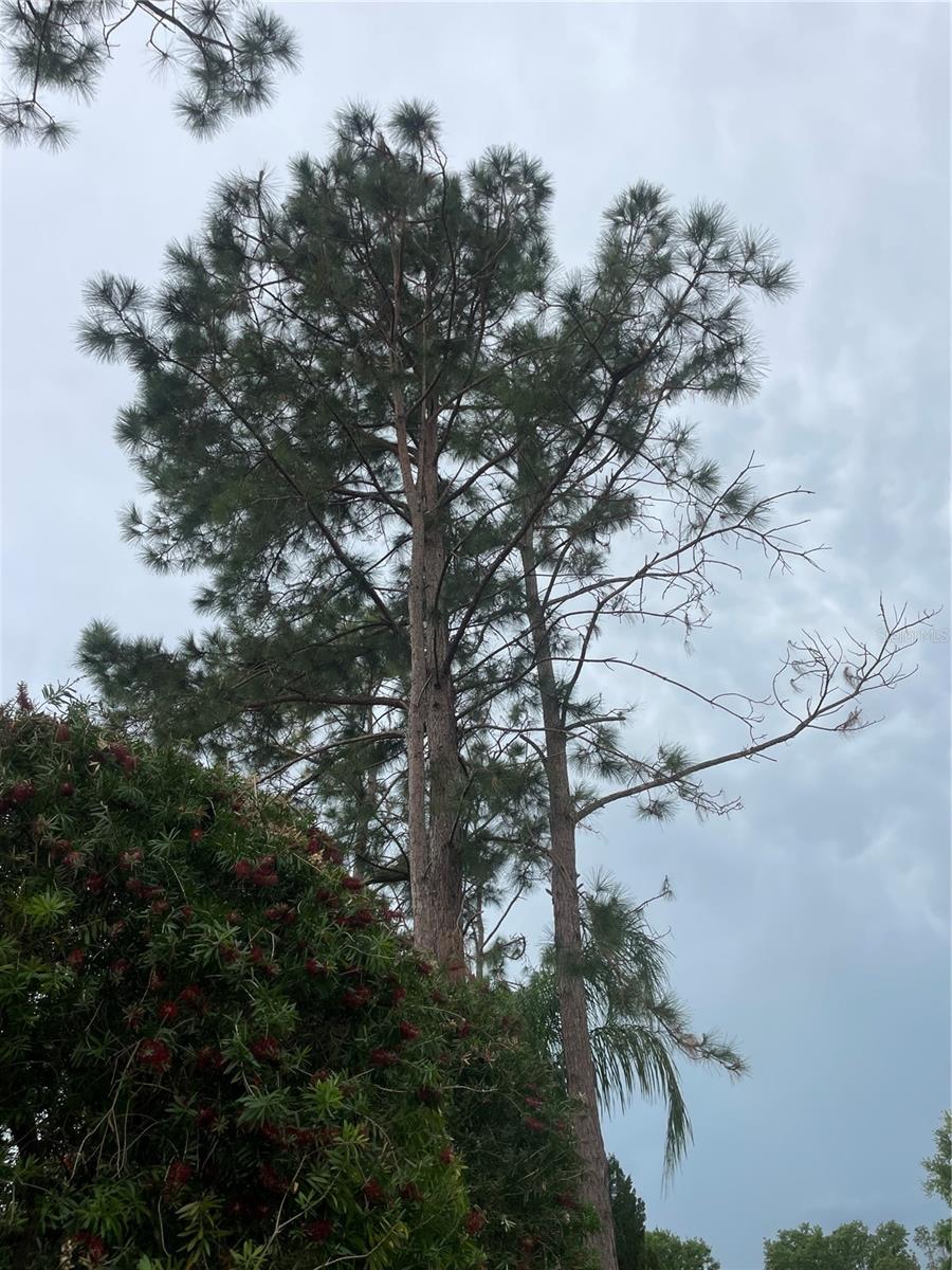 LAKE DENISE BLVD, CLERMONT, FL, 34711