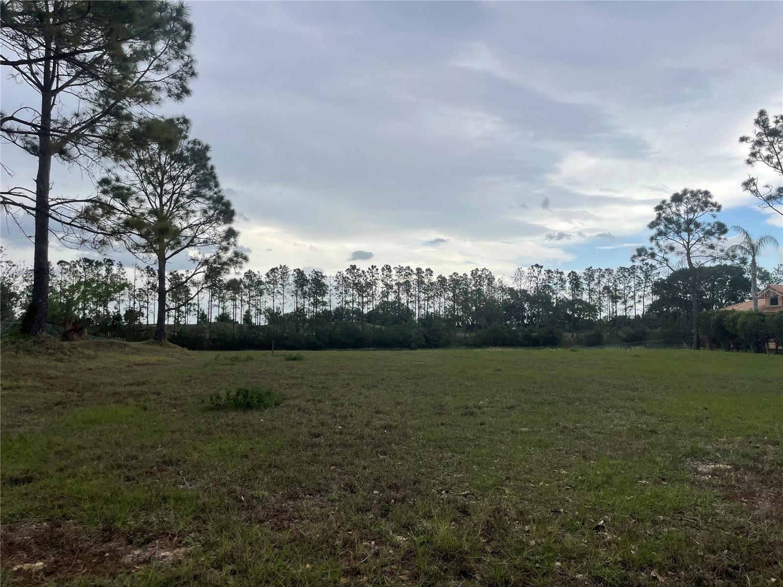 LAKE DENISE BLVD, CLERMONT, FL, 34711