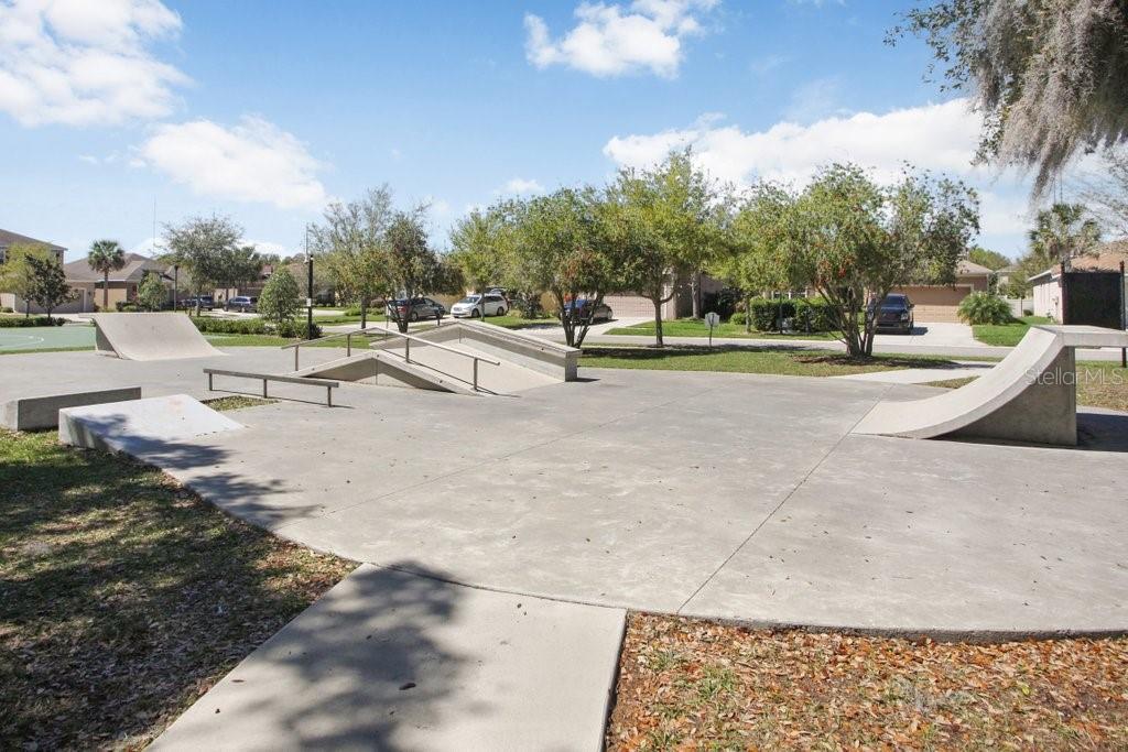 11137 WEMBLEY LANDING DR, LITHIA, FL, 33547
