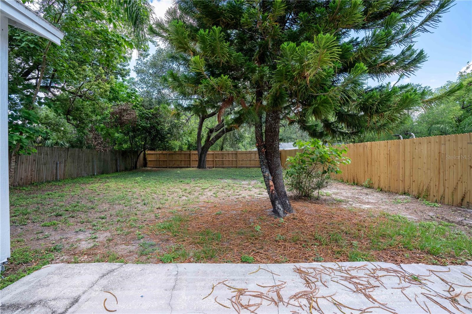 1906 E IDLEWILD AVE, TAMPA, FL, 33610