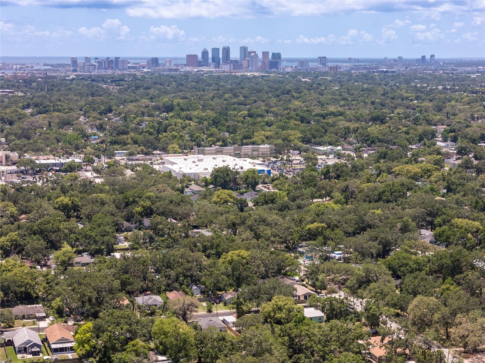 1906 E IDLEWILD AVE, TAMPA, FL, 33610