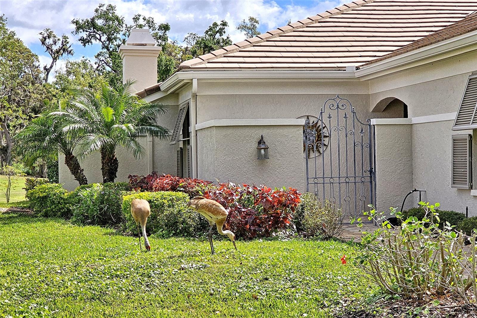 3950 OAKLEY GREENE #36, SARASOTA, FL, 34235