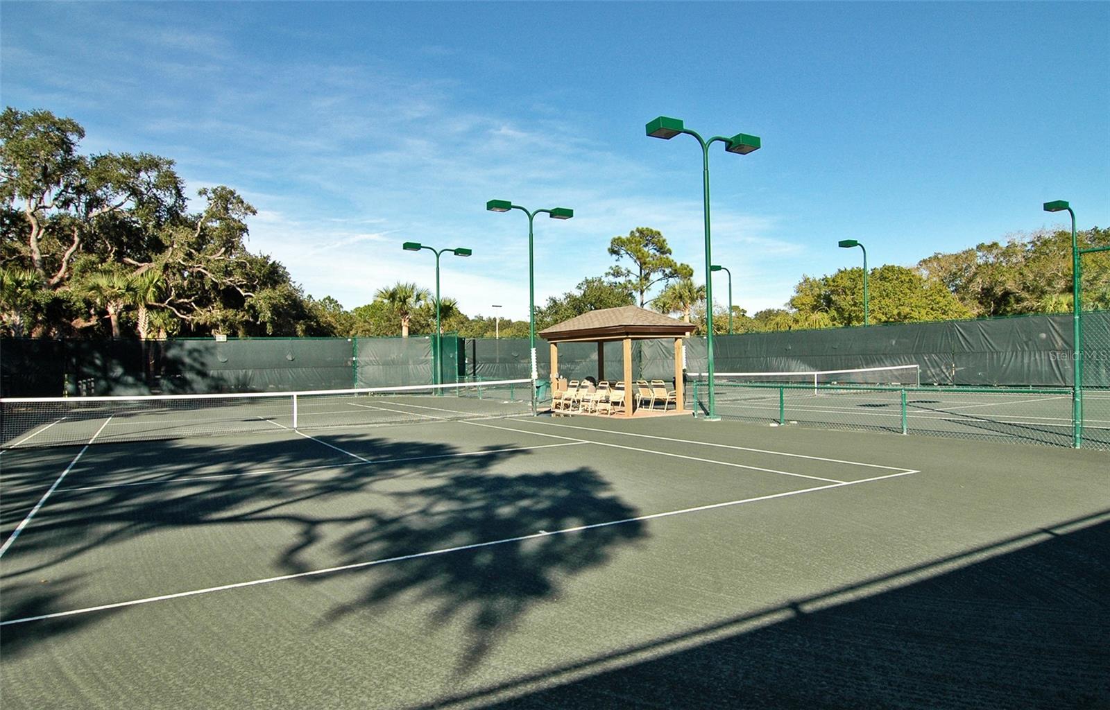 3950 OAKLEY GREENE #36, SARASOTA, FL, 34235
