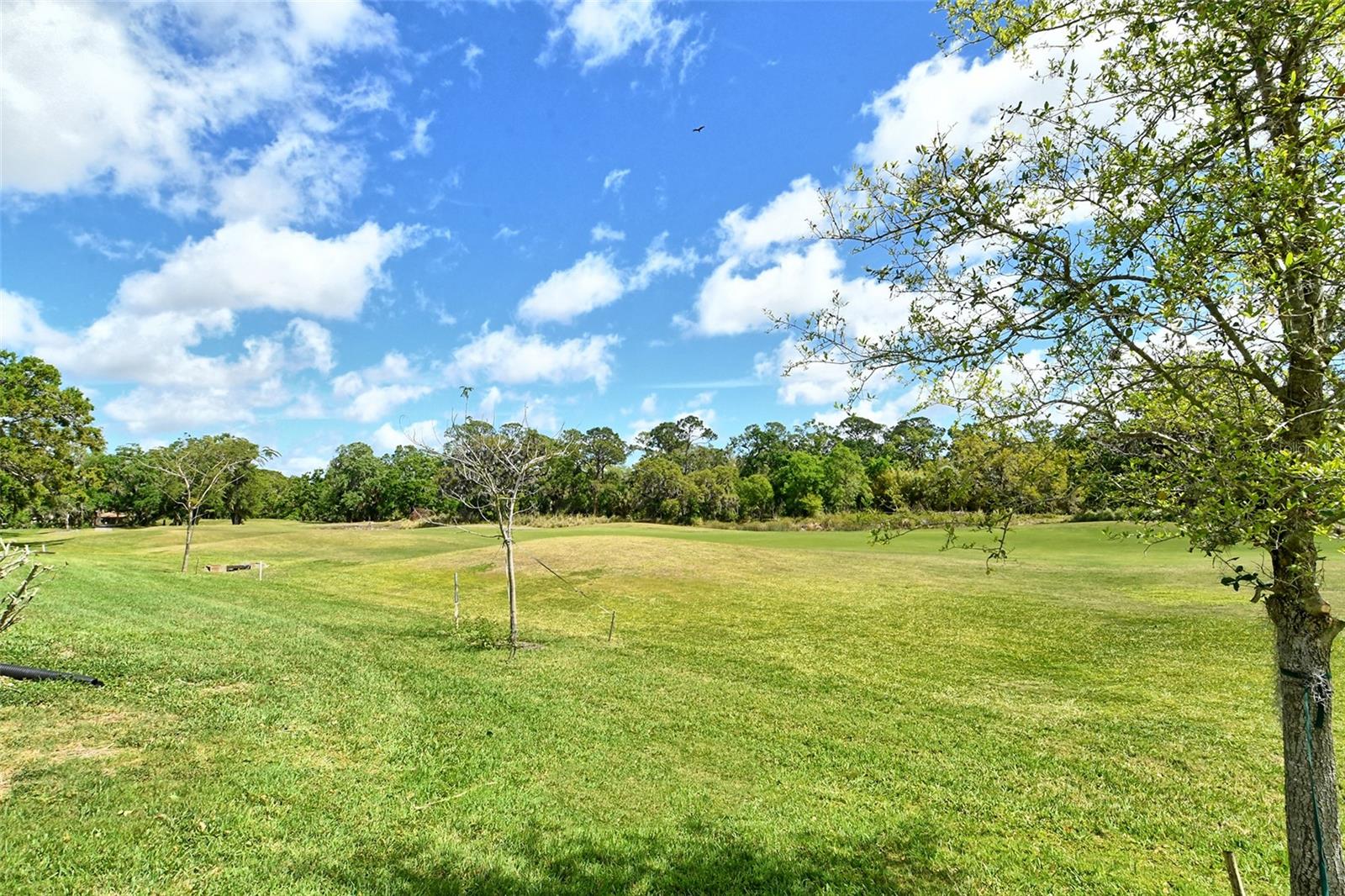 3950 OAKLEY GREENE #36, SARASOTA, FL, 34235