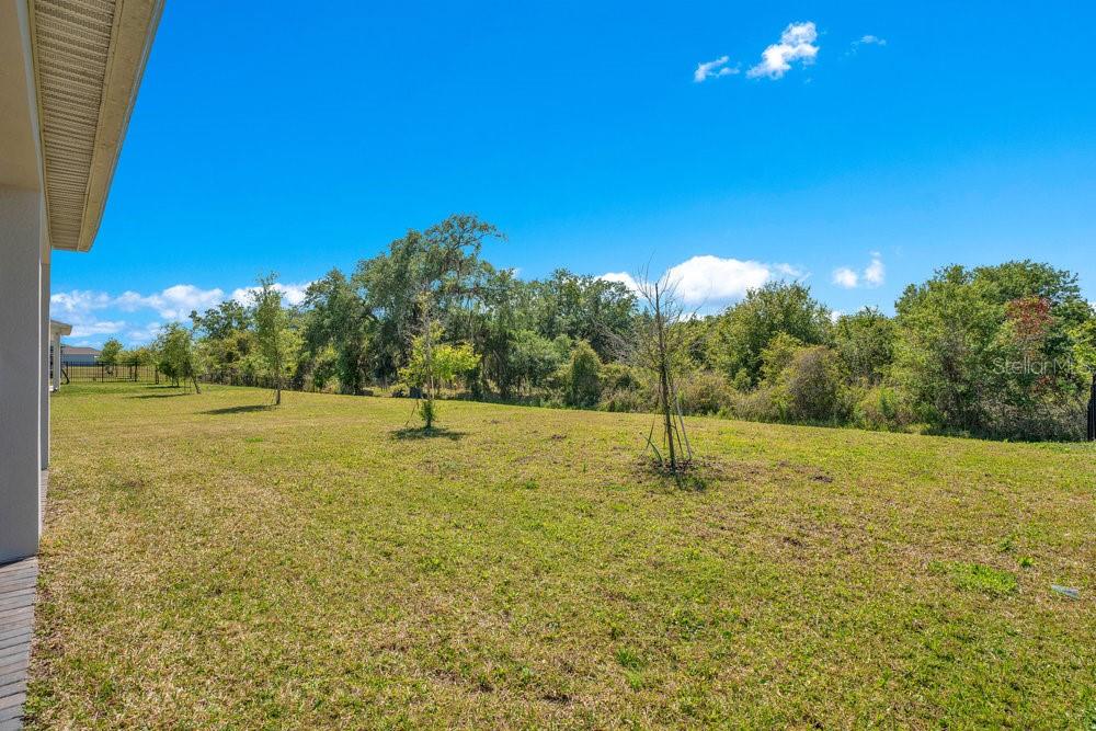 2104 LIVE OAK LAKE RD, ST CLOUD, FL, 34771