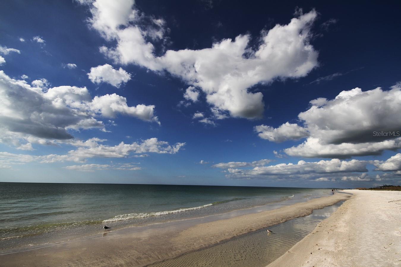 880 MANDALAY AVE #S604, CLEARWATER BEACH, FL, 33767