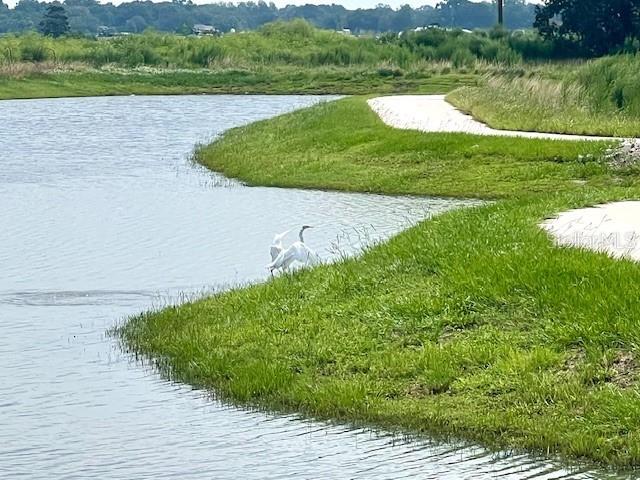9078 GALLANTREE PL, LAND O LAKES, FL, 34637