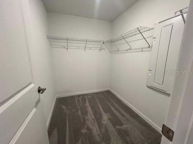 9078 GALLANTREE PL, LAND O LAKES, FL, 34637