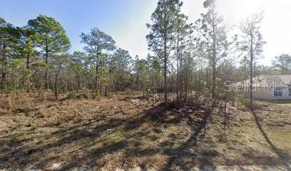 16106 MEDRICK RD, BROOKSVILLE, FL, 34614