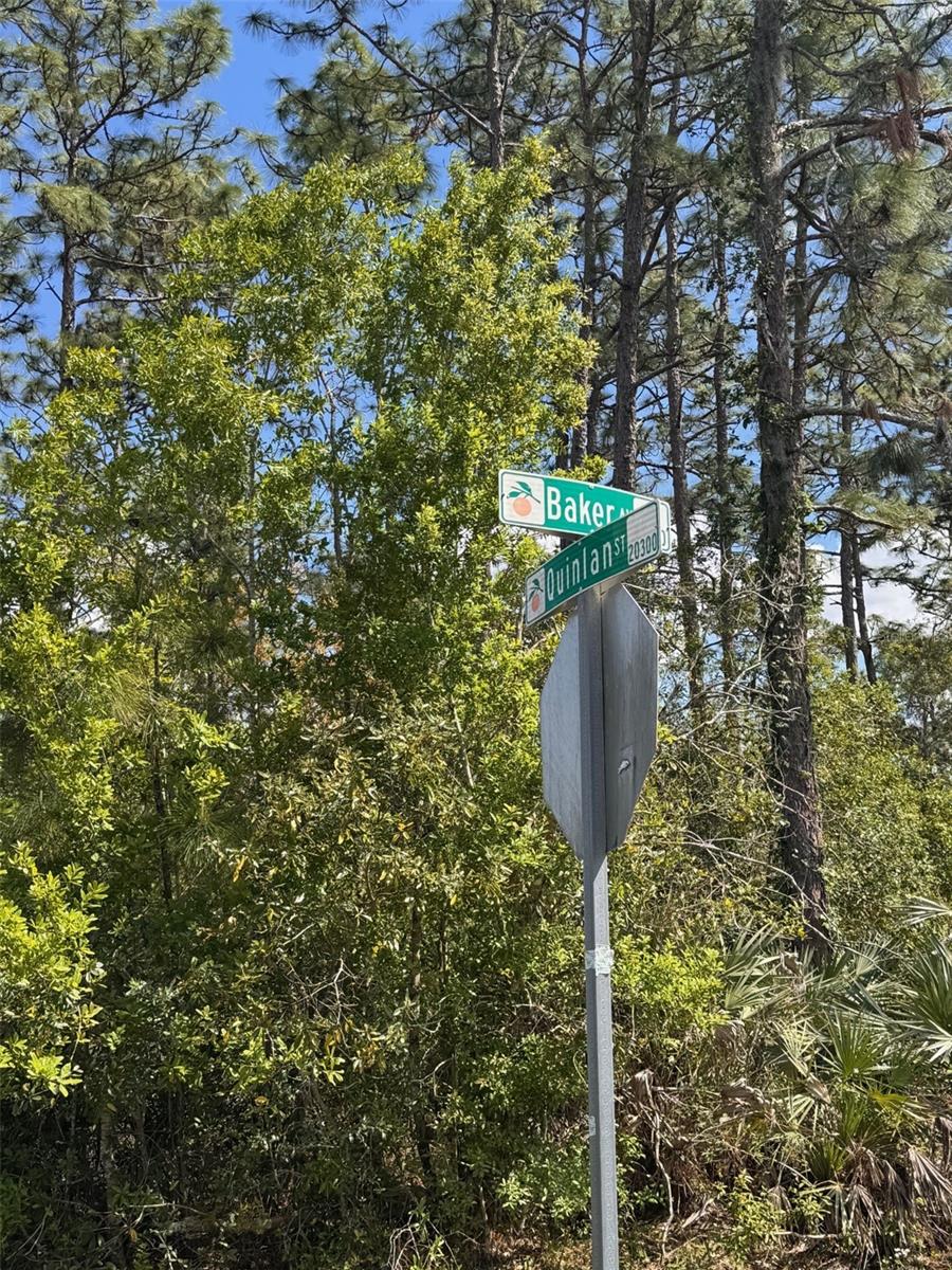 5200 BAKER AVE, ORLANDO, FL, 32833