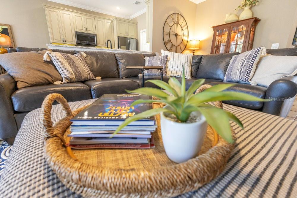 7018 ARCADIAN CT, MOUNT DORA, FL, 32757