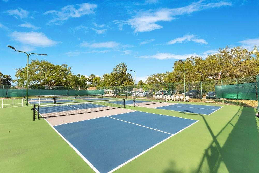 7018 ARCADIAN CT, MOUNT DORA, FL, 32757