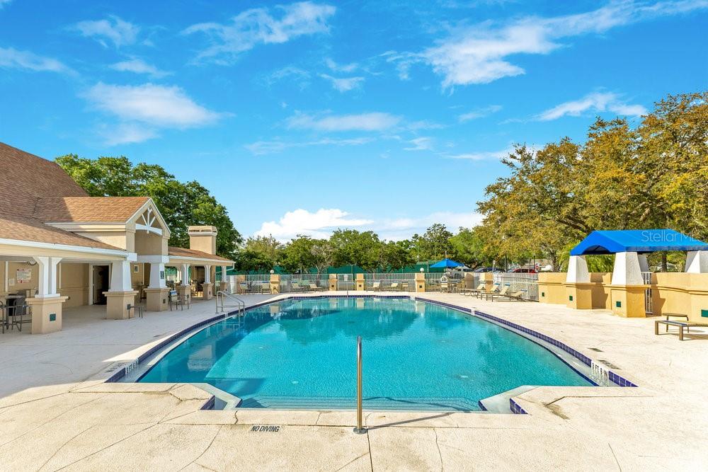 7018 ARCADIAN CT, MOUNT DORA, FL, 32757