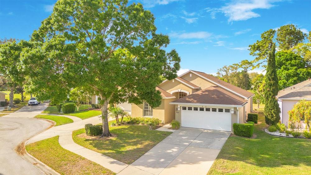 7018 ARCADIAN CT, MOUNT DORA, FL, 32757