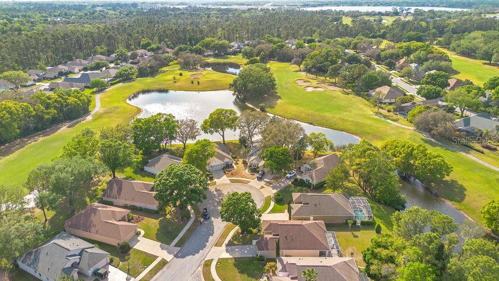 7018 ARCADIAN CT, MOUNT DORA, FL, 32757