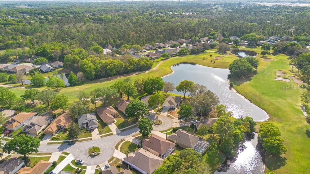 7018 ARCADIAN CT, MOUNT DORA, FL, 32757