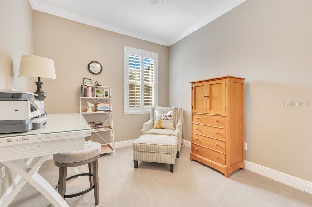 7018 ARCADIAN CT, MOUNT DORA, FL, 32757