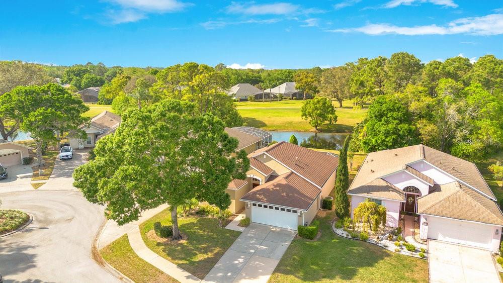 7018 ARCADIAN CT, MOUNT DORA, FL, 32757