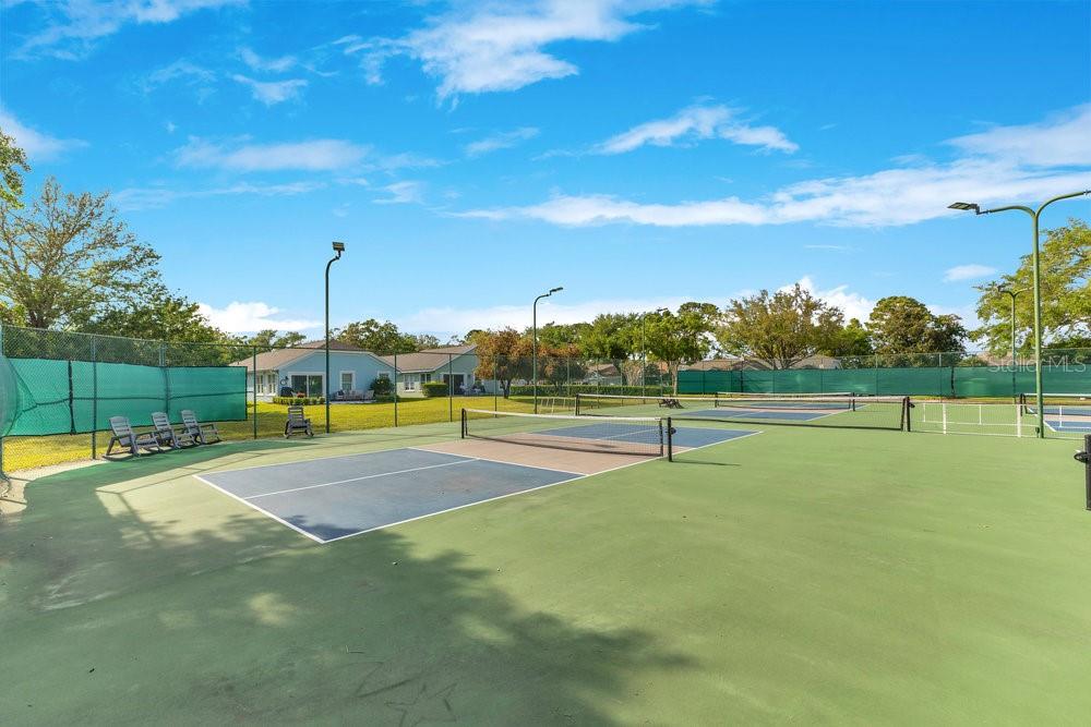 7018 ARCADIAN CT, MOUNT DORA, FL, 32757