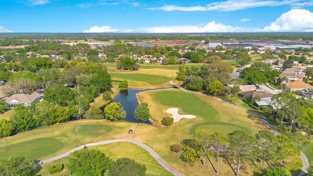 7018 ARCADIAN CT, MOUNT DORA, FL, 32757
