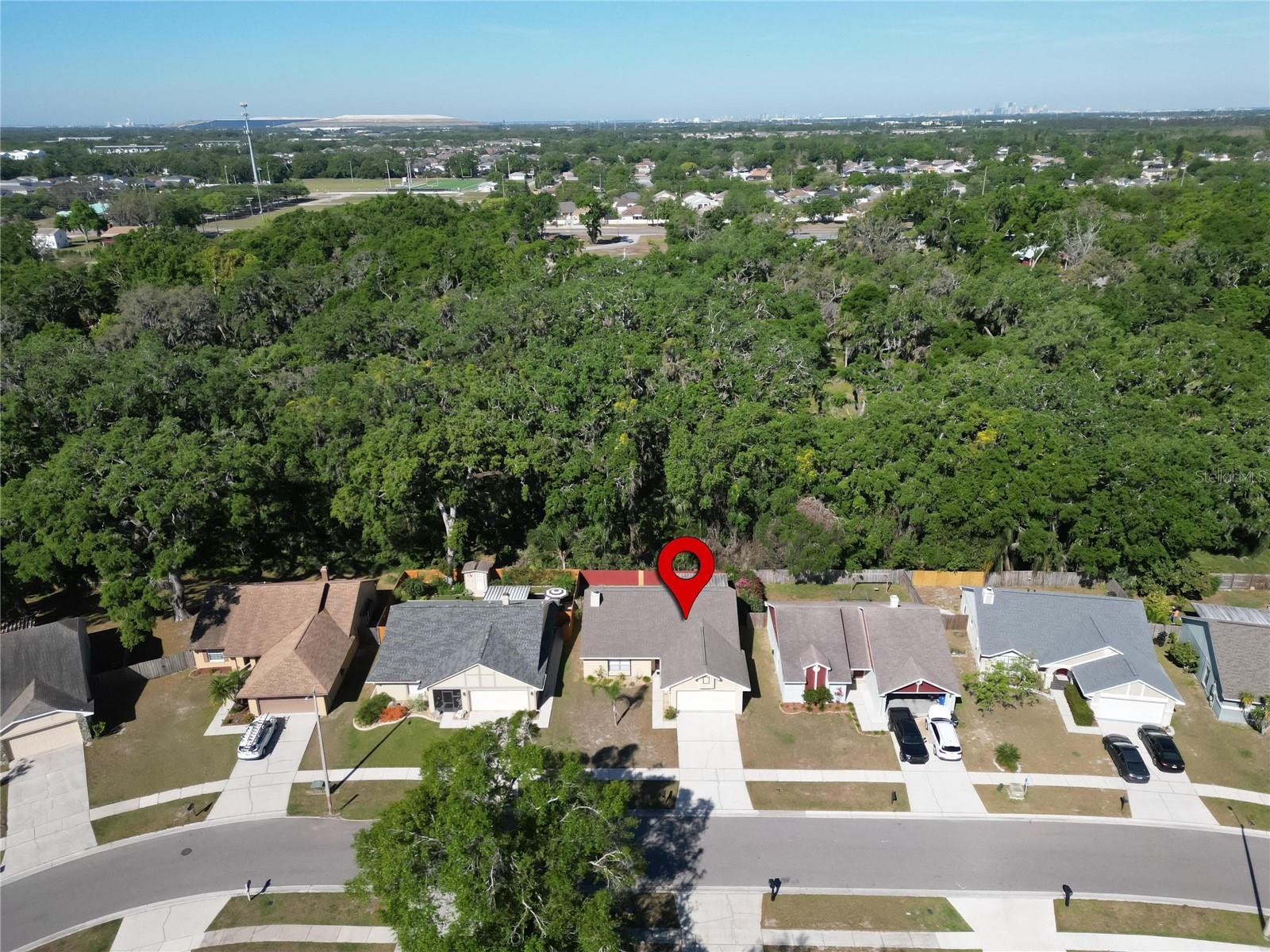 2033 SHADOW PINE DR, BRANDON, FL, 33511