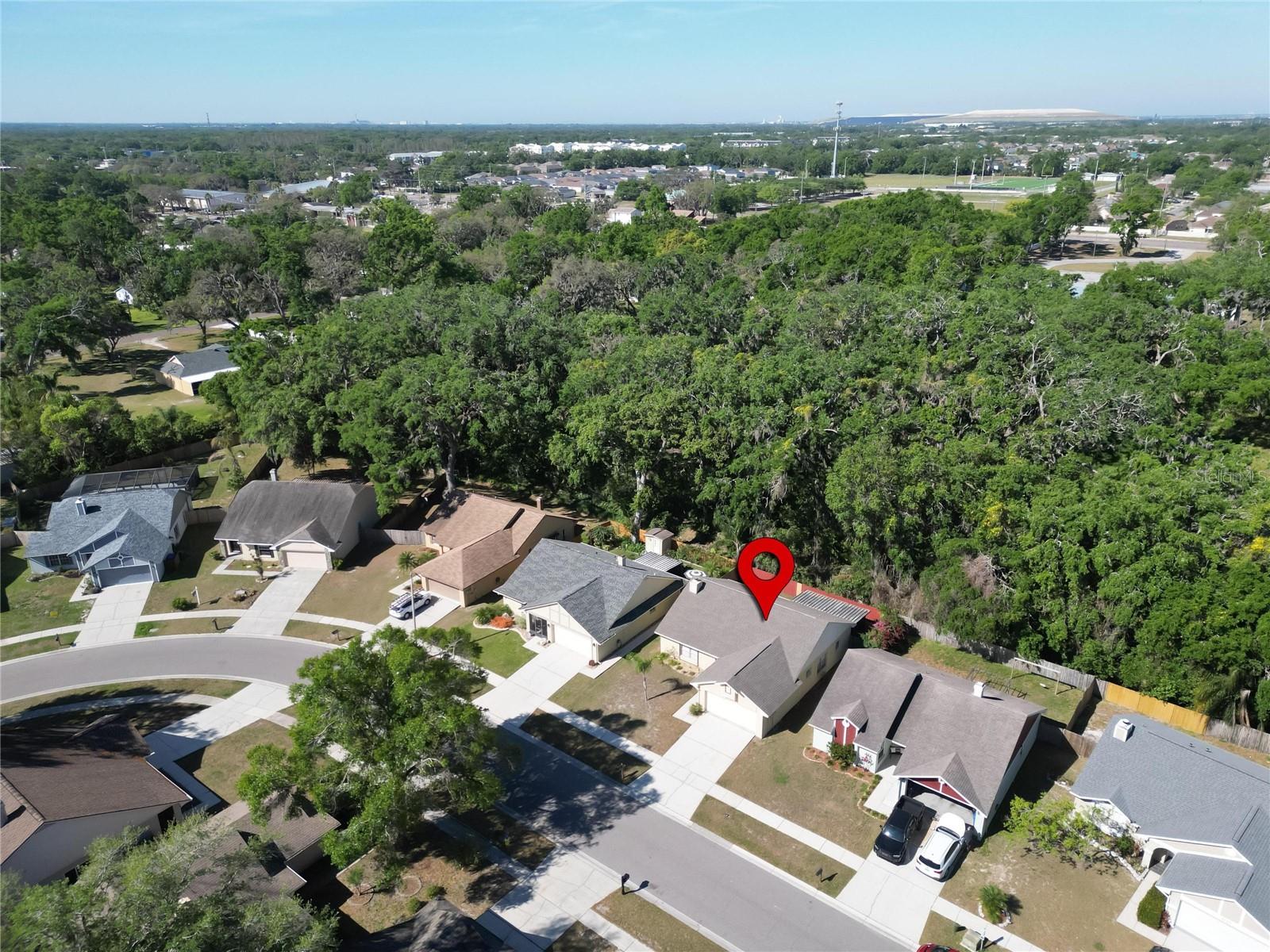 2033 SHADOW PINE DR, BRANDON, FL, 33511