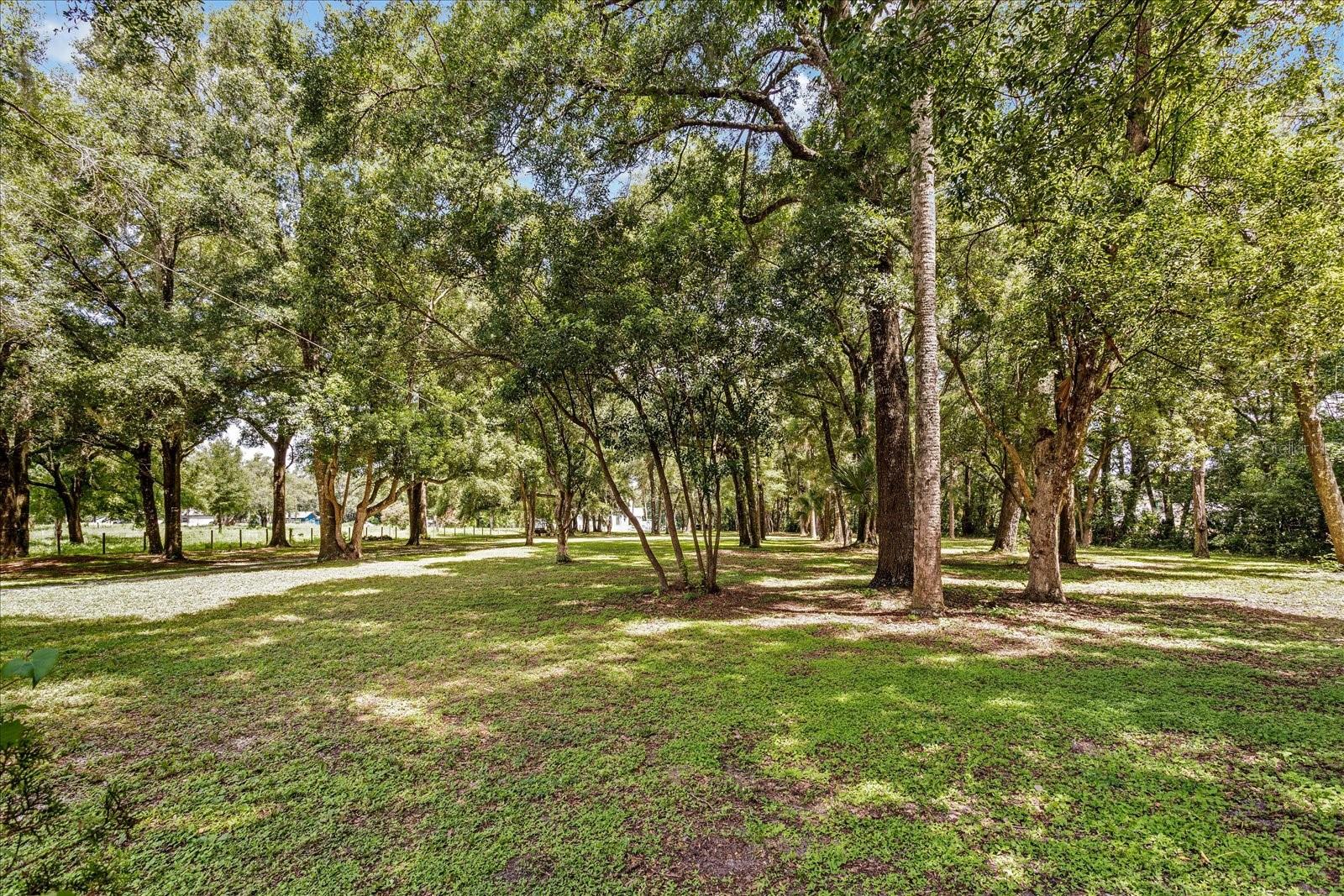 23730 FRANKLIN AVE, SORRENTO, FL, 32776