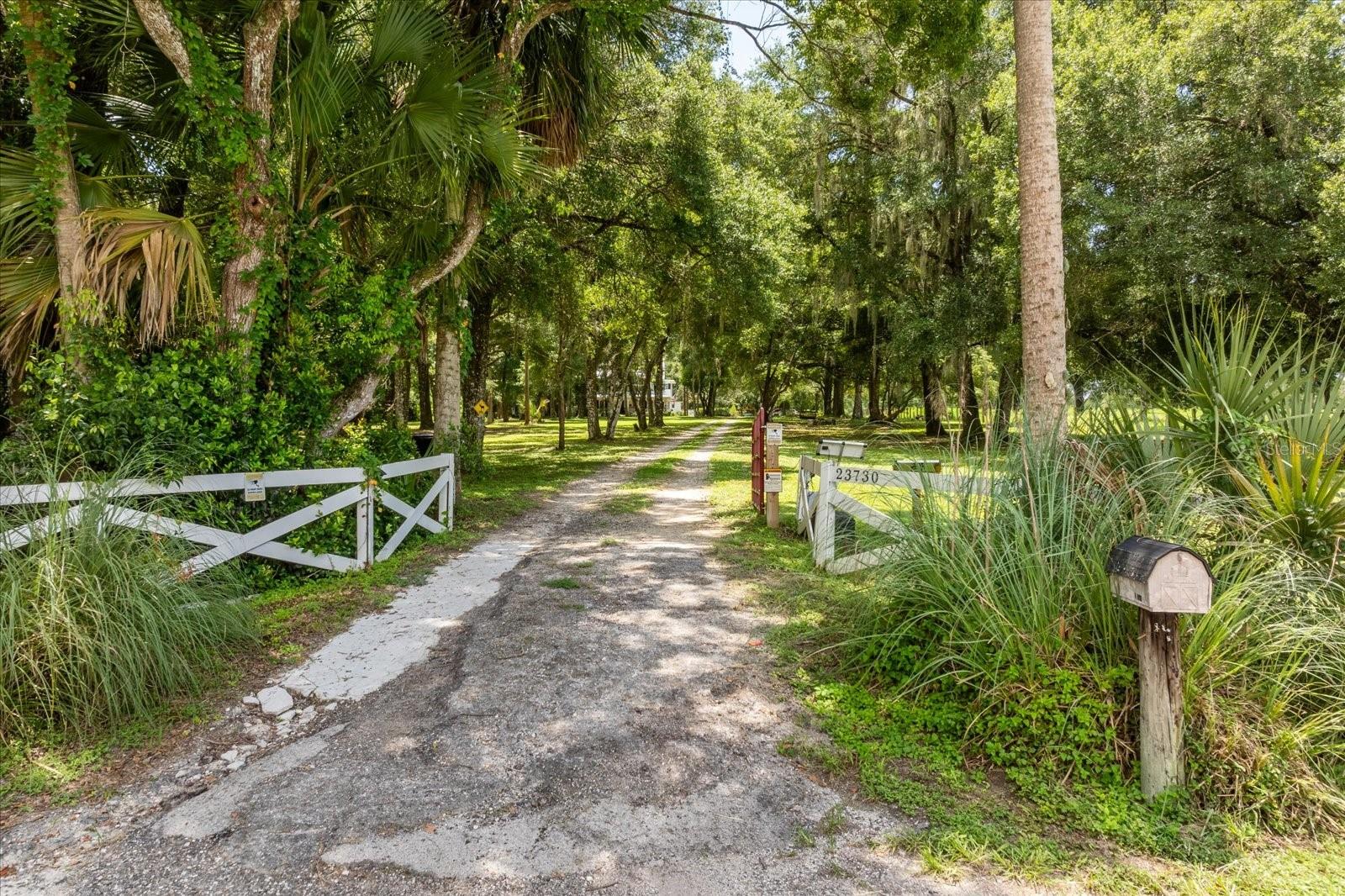 23730 FRANKLIN AVE, SORRENTO, FL, 32776
