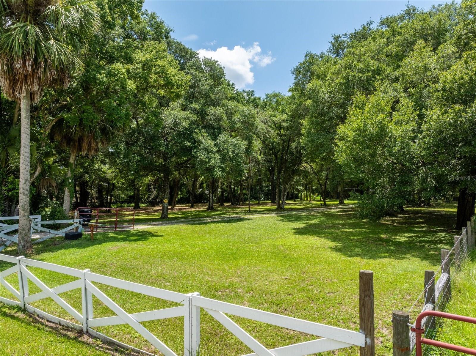 23730 FRANKLIN AVE, SORRENTO, FL, 32776