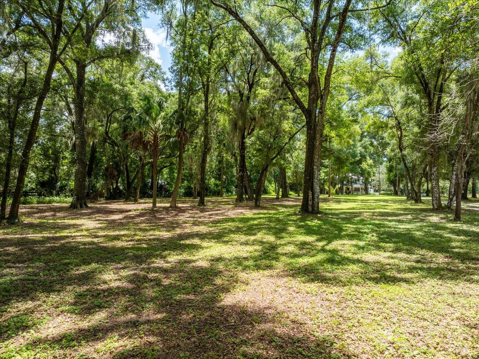 23730 FRANKLIN AVE, SORRENTO, FL, 32776