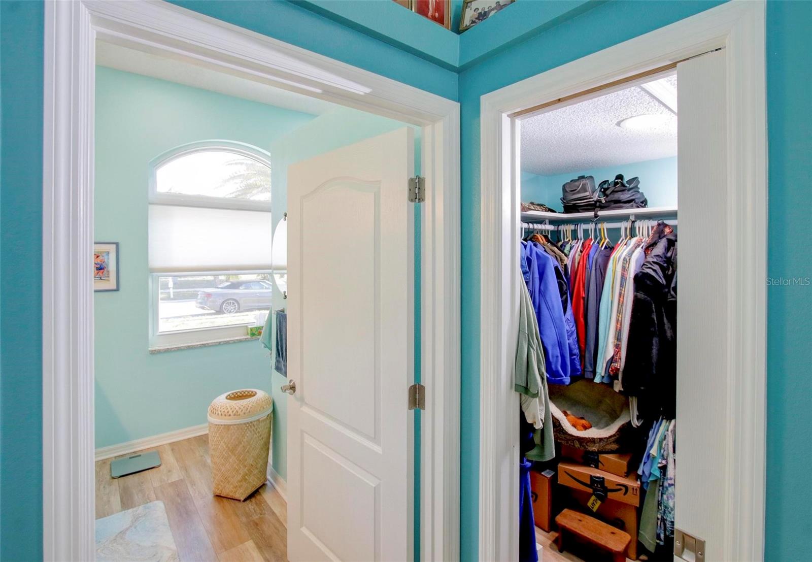 3051 JODI LN, PALM HARBOR, FL, 34684