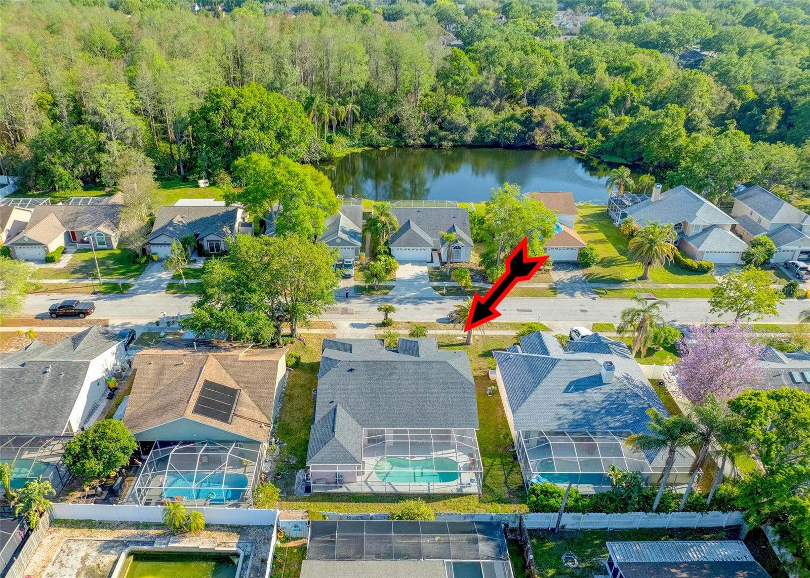 3051 JODI LN, PALM HARBOR, FL, 34684