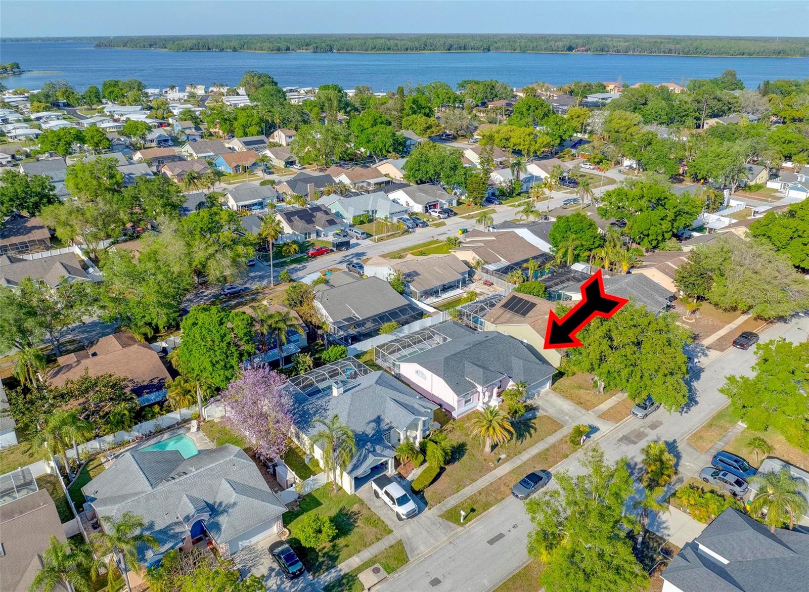 3051 JODI LN, PALM HARBOR, FL, 34684