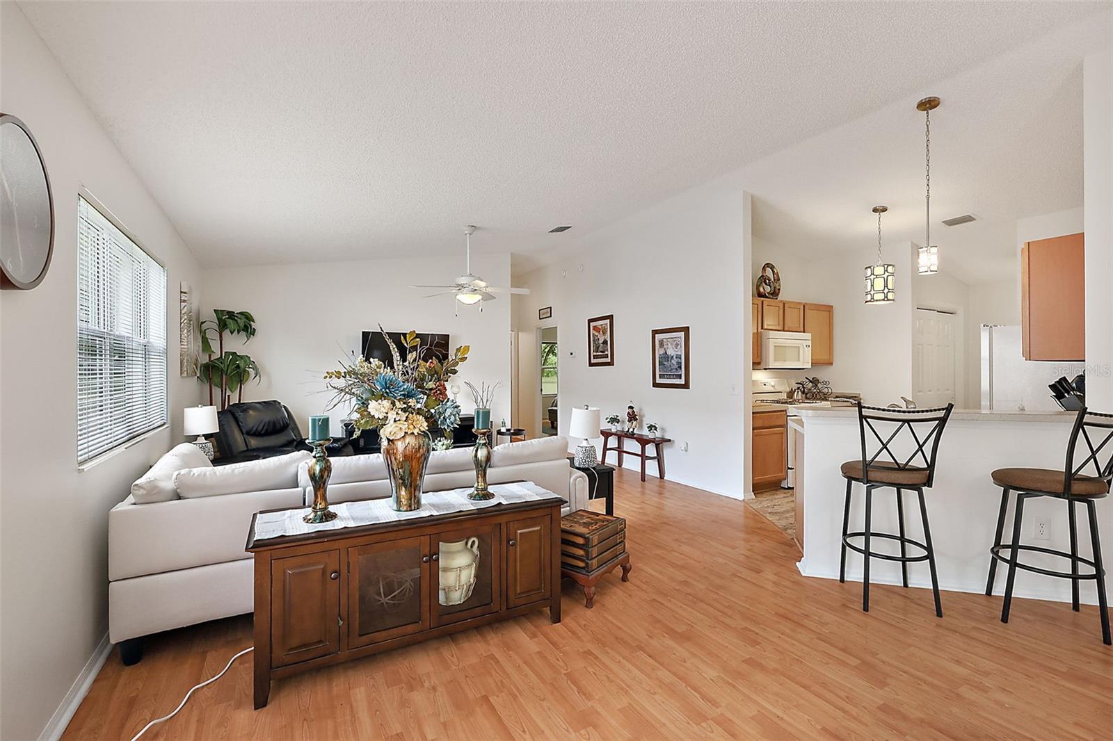 765 LESLIE LN, THE VILLAGES, FL, 32162