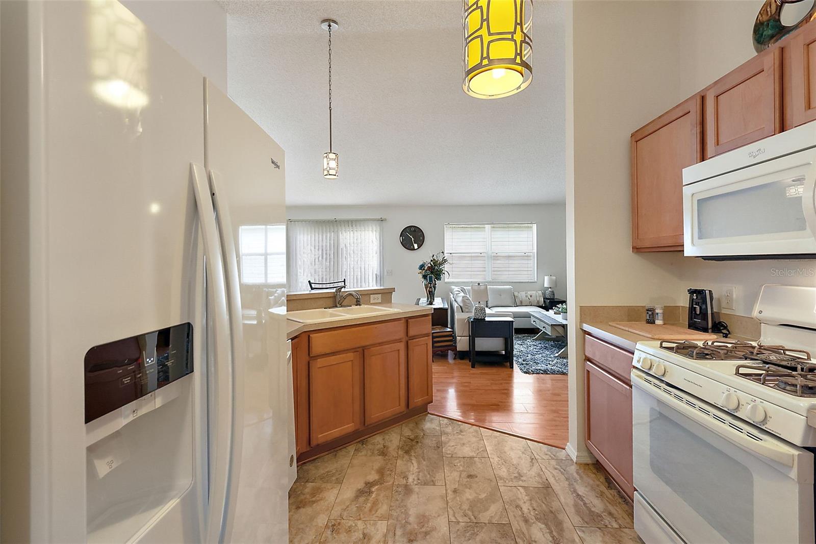 765 LESLIE LN, THE VILLAGES, FL, 32162