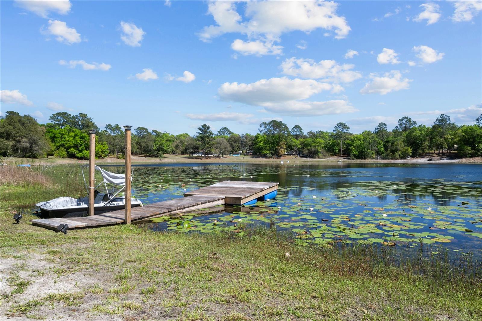 123 LAKE CARLETON DR, MELROSE, FL, 32666