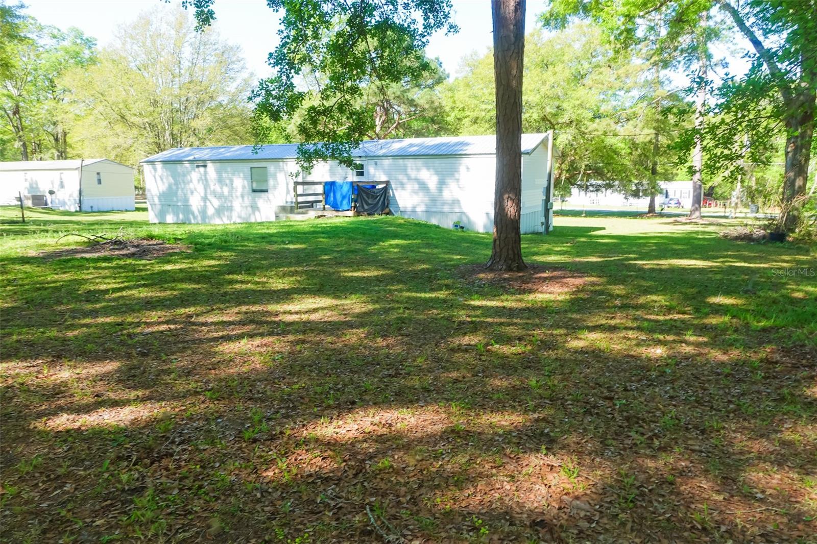 316 SE BRANDON DR, LAKE CITY, FL, 32025