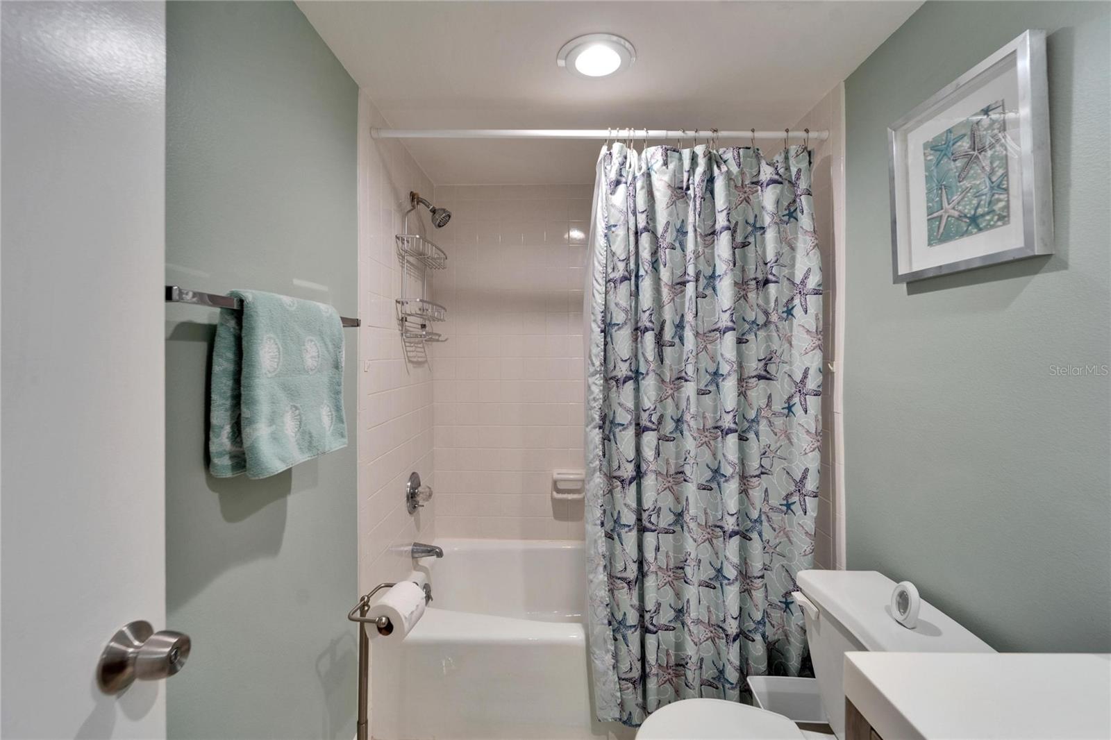 803 BAHIA DEL SOL DR #66, RUSKIN, FL, 33570