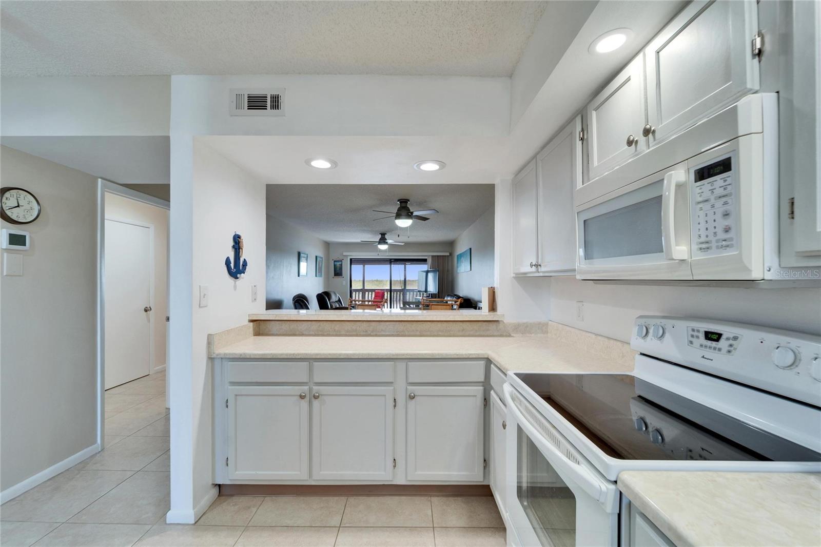 803 BAHIA DEL SOL DR #66, RUSKIN, FL, 33570