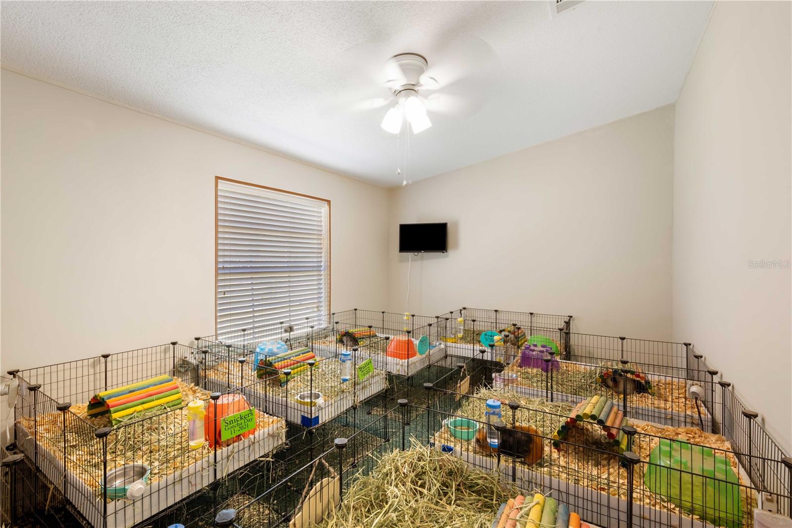 6936 20TH ST, ZEPHYRHILLS, FL, 33542
