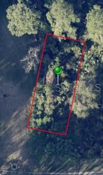 215 SANDY BLUFF TRL, DELAND, FL, 32724