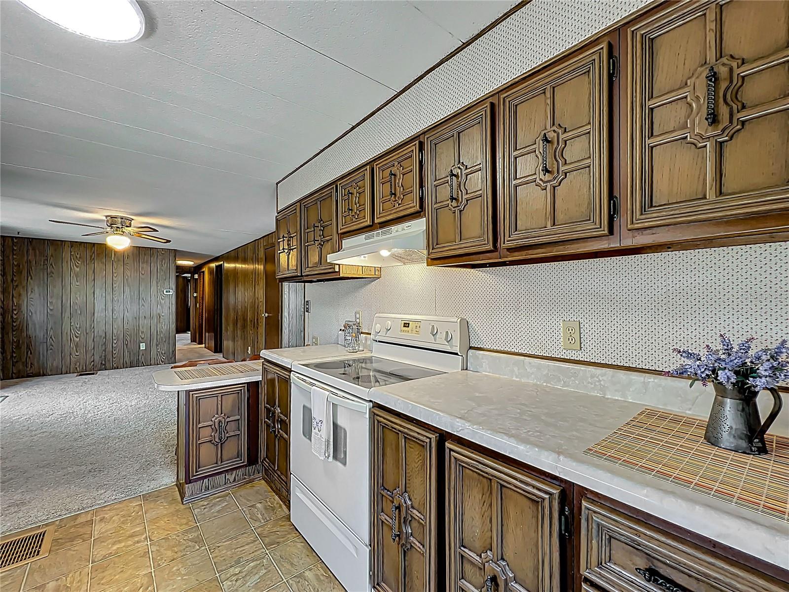 12706 LAKE DORA CIR, TAVARES, FL, 32778